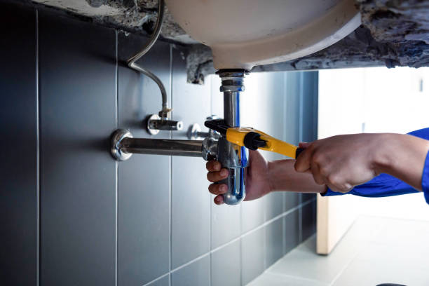 Professional Plumbing  in Santa Paula, CA